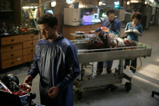 Illustration for article titled Which Major TV Show May Be Turning Its Shippers Into Unwitting Incest Fans?